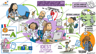 idest organisation travail schema didactique