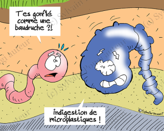 microplastiques